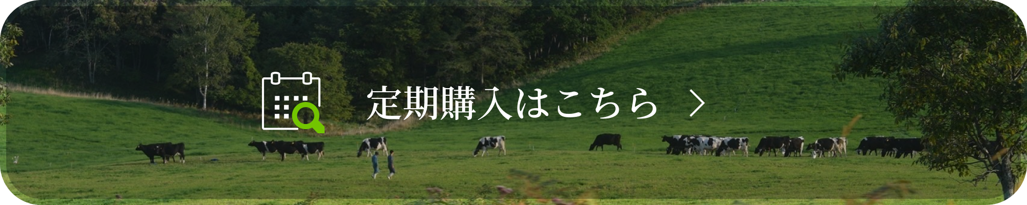 定期購入